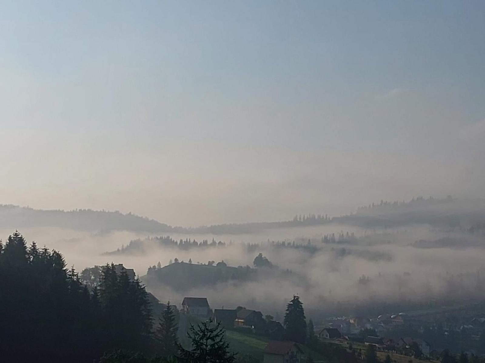 Chalet Panorama Bukovel Dış mekan fotoğraf